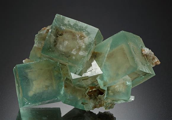 CC15251 specimen image