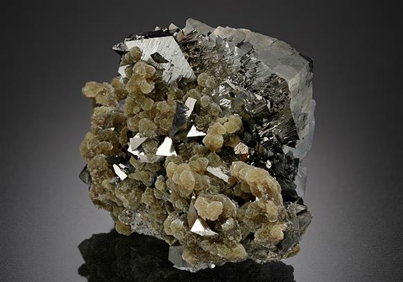 CC15252 specimen image