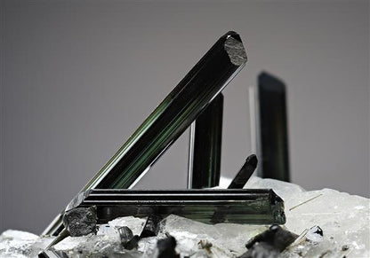 CC15254 specimen image
