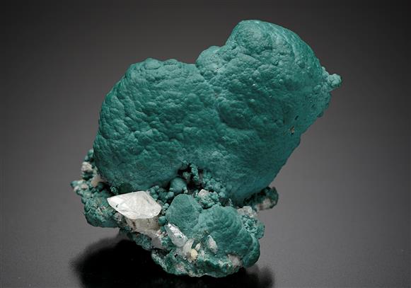 CC15265 specimen image