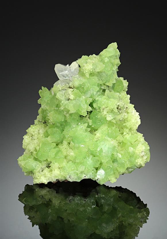 CC15271 specimen image