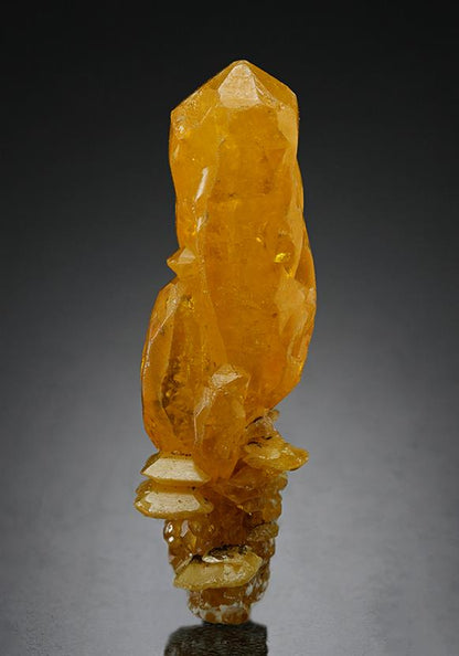 CC15276 specimen image