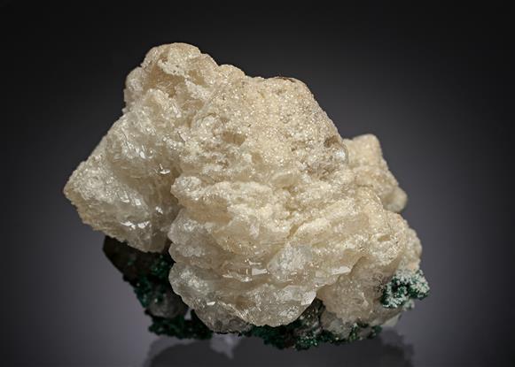 CC15281 specimen image
