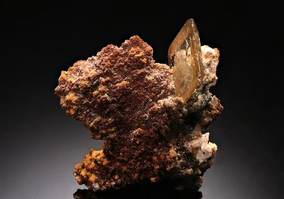 CC15293 specimen image