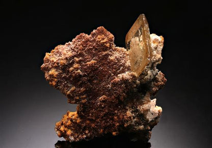 CC15293 specimen image