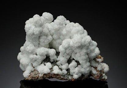 CC15310 specimen image