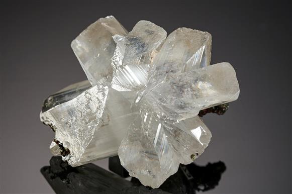 CC15311 specimen image
