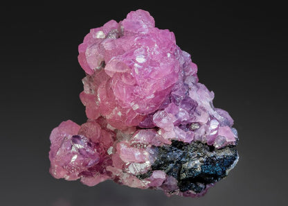 CC15346 specimen image