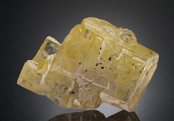 CC15347 specimen image