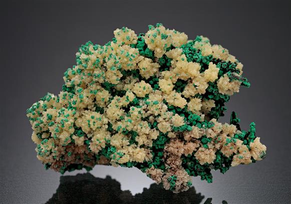 CC15350 specimen image
