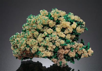 CC15350 specimen image