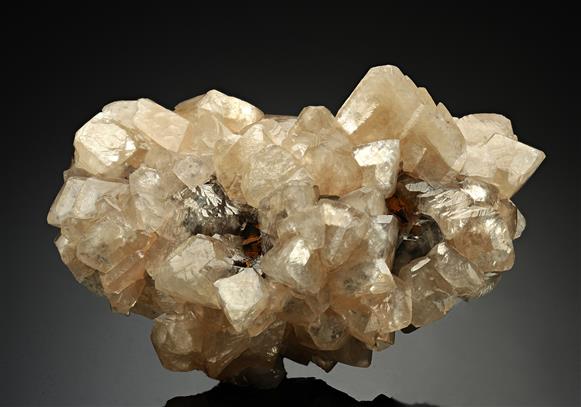 CC15361 specimen image