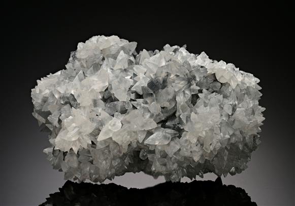 CC15368 specimen image