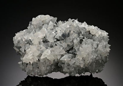 CC15368 specimen image