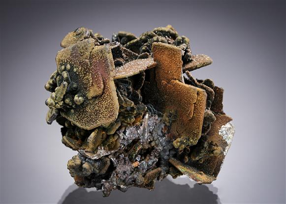 CC15374 specimen image