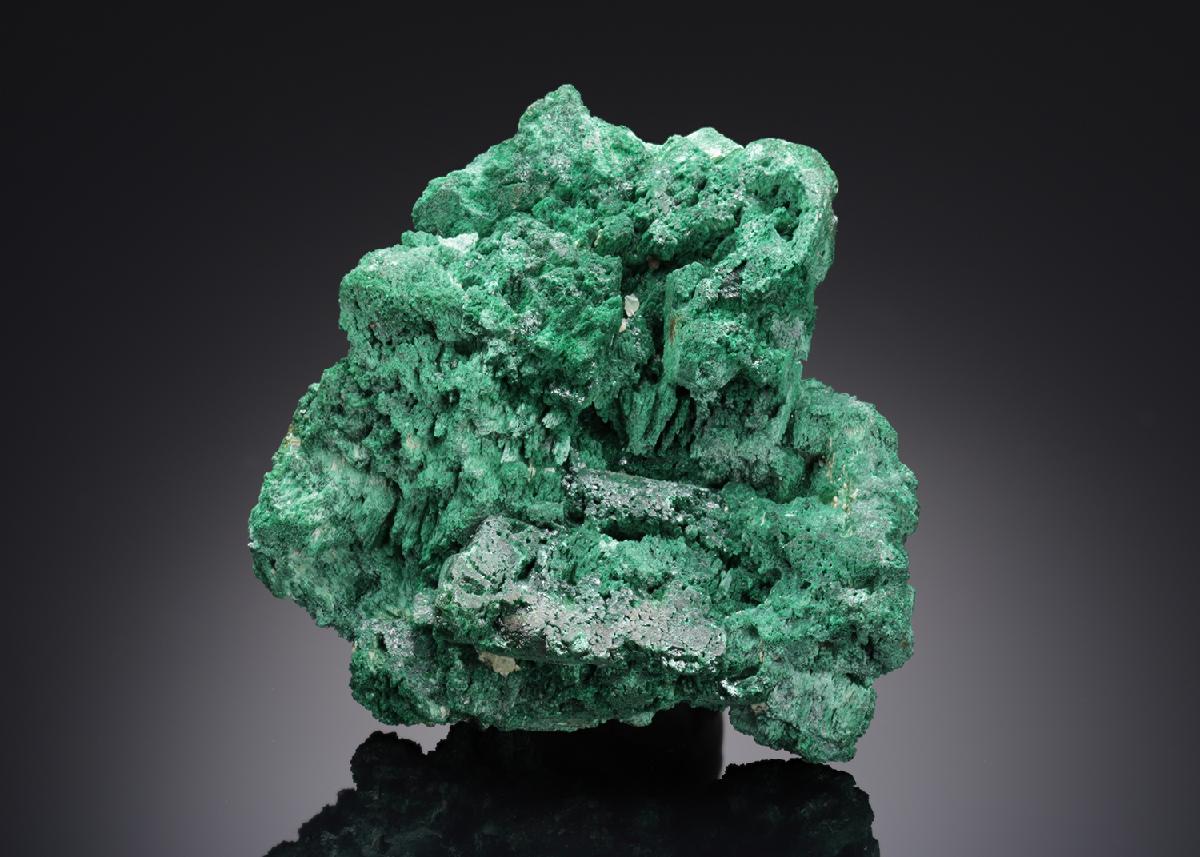 CC15406 specimen image