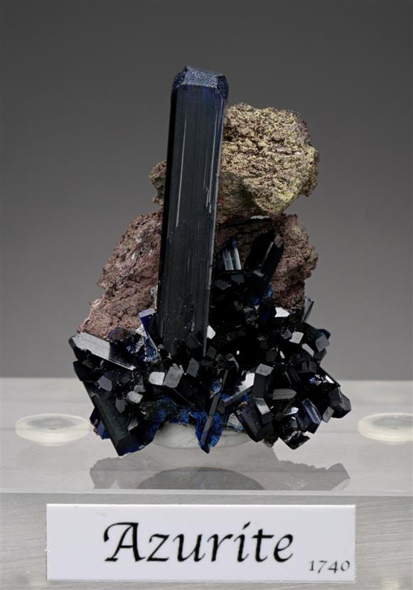CC15416 specimen image