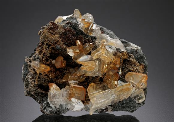 CC15442 specimen image
