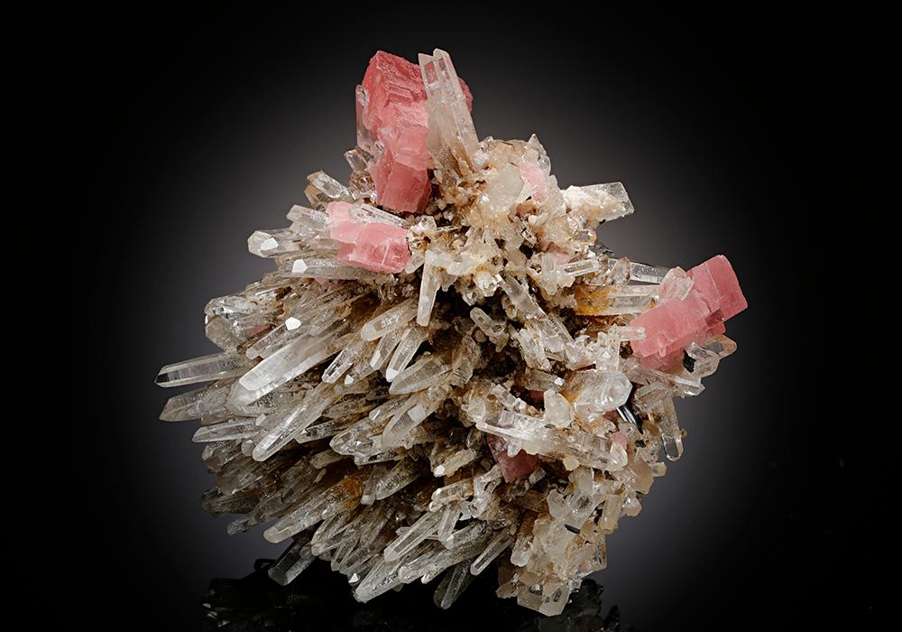 CC15458 specimen image