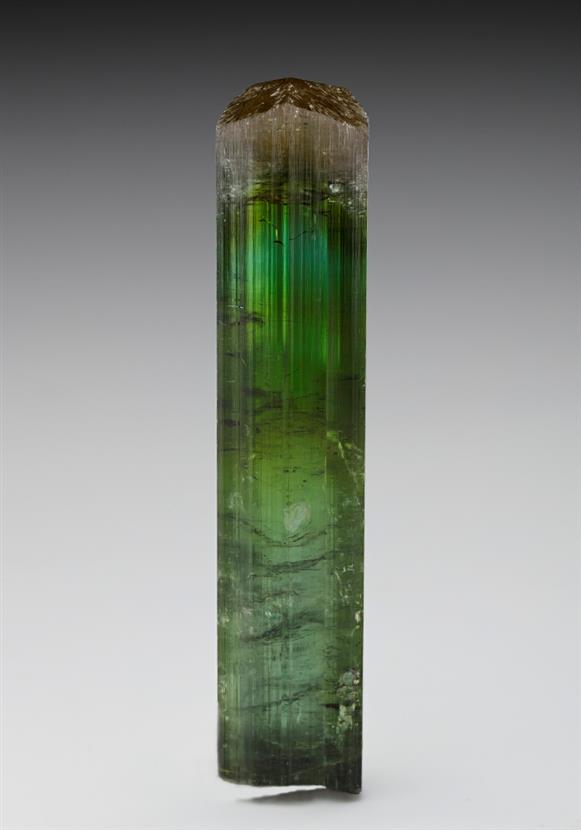 CC15463 specimen image