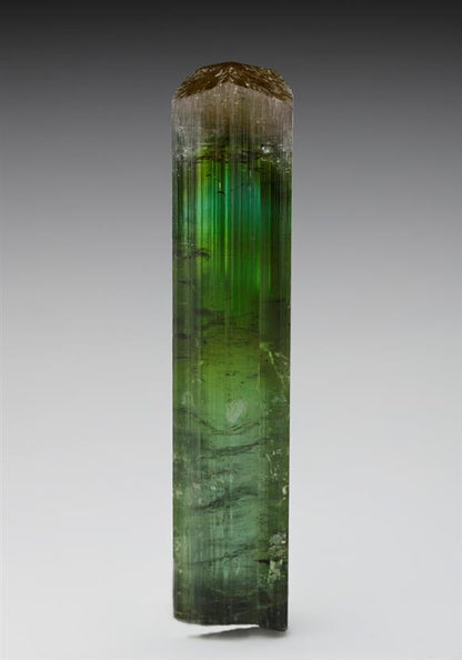 CC15463 specimen image