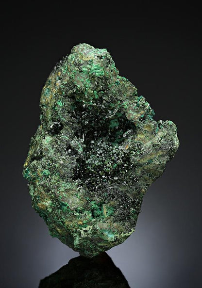 CC15472 specimen image