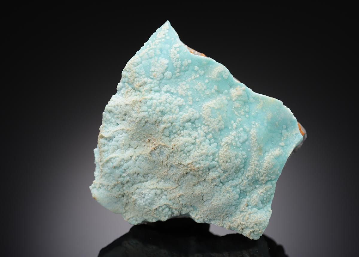CC15486 specimen image
