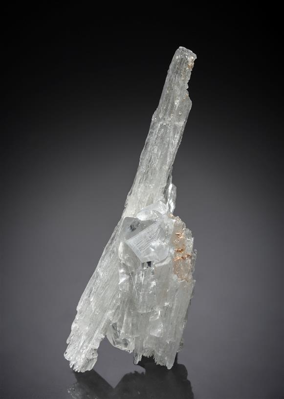 CC15487 specimen image