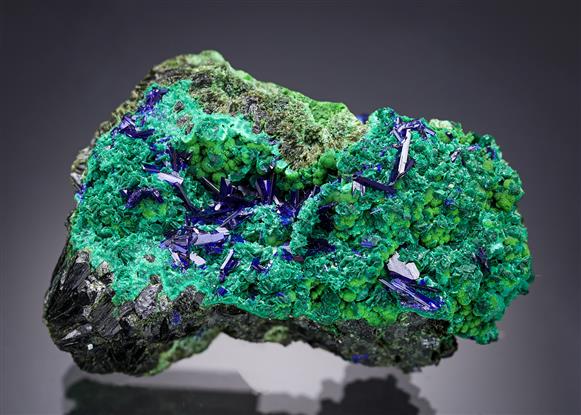 CC15491 specimen image