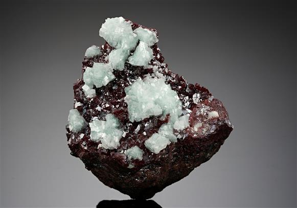 CC15510 specimen image