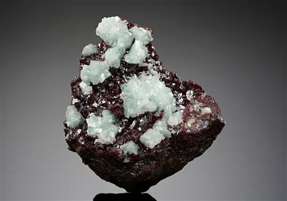 CC15510 specimen image
