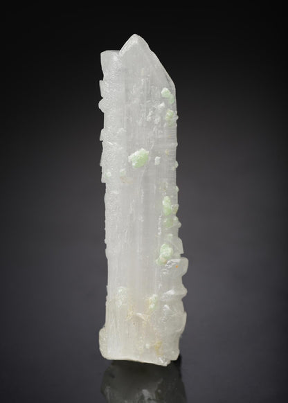 CC15514 specimen image