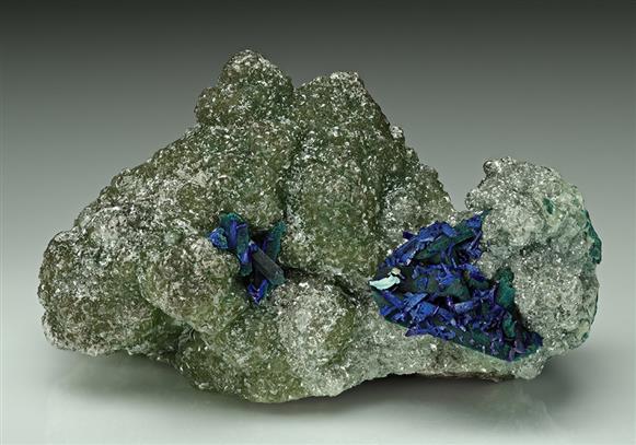 CC15516 specimen image