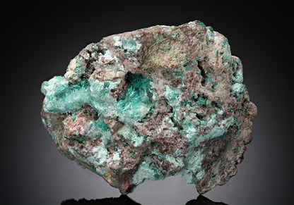CC15518 specimen image