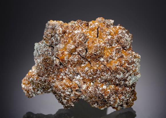 CC15523 specimen image
