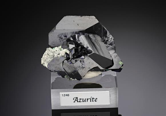 CC15561 specimen image