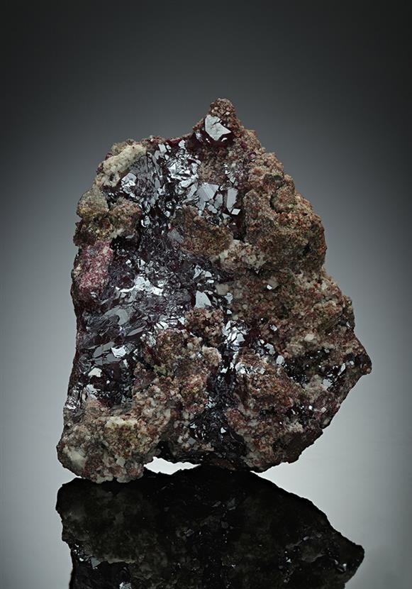 CC15564 specimen image