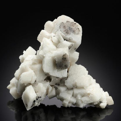 CC15571 specimen image