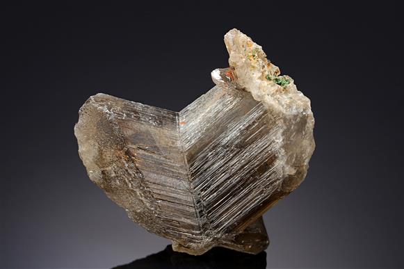 CC15578 specimen image