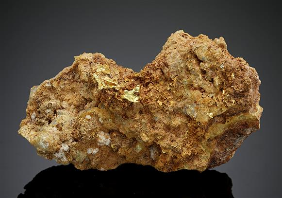 CC15588 specimen image