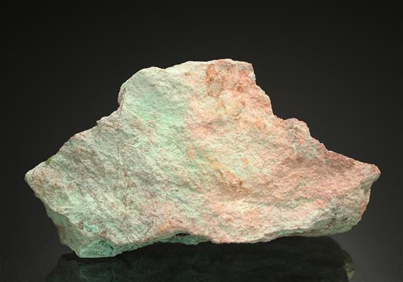 CC15599 specimen image
