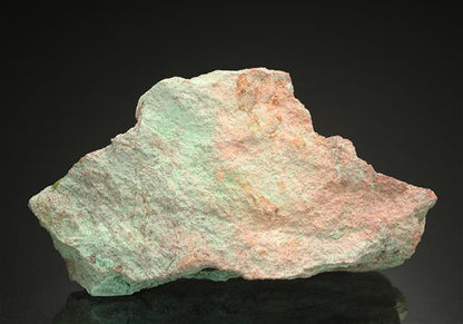 CC15599 specimen image