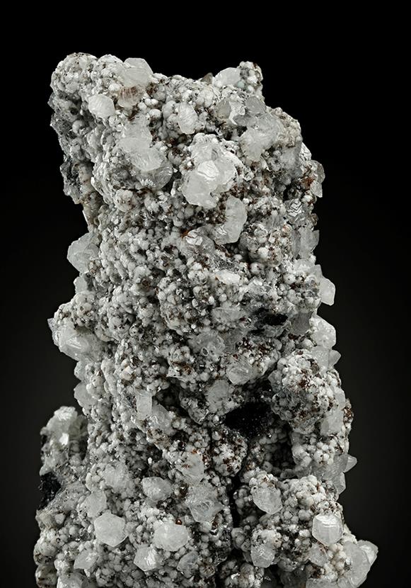 CC15608 specimen image