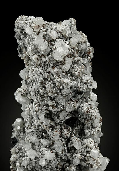 CC15608 specimen image