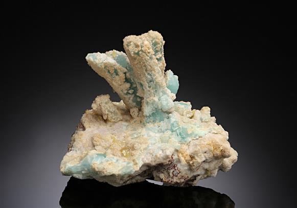 CC15610 specimen image