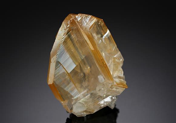 CC15612 specimen image