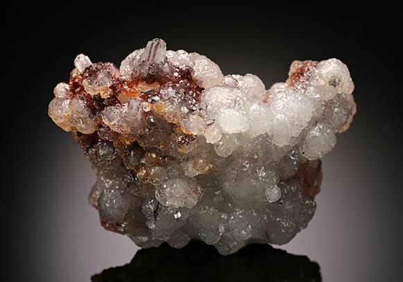 CC15617 specimen image