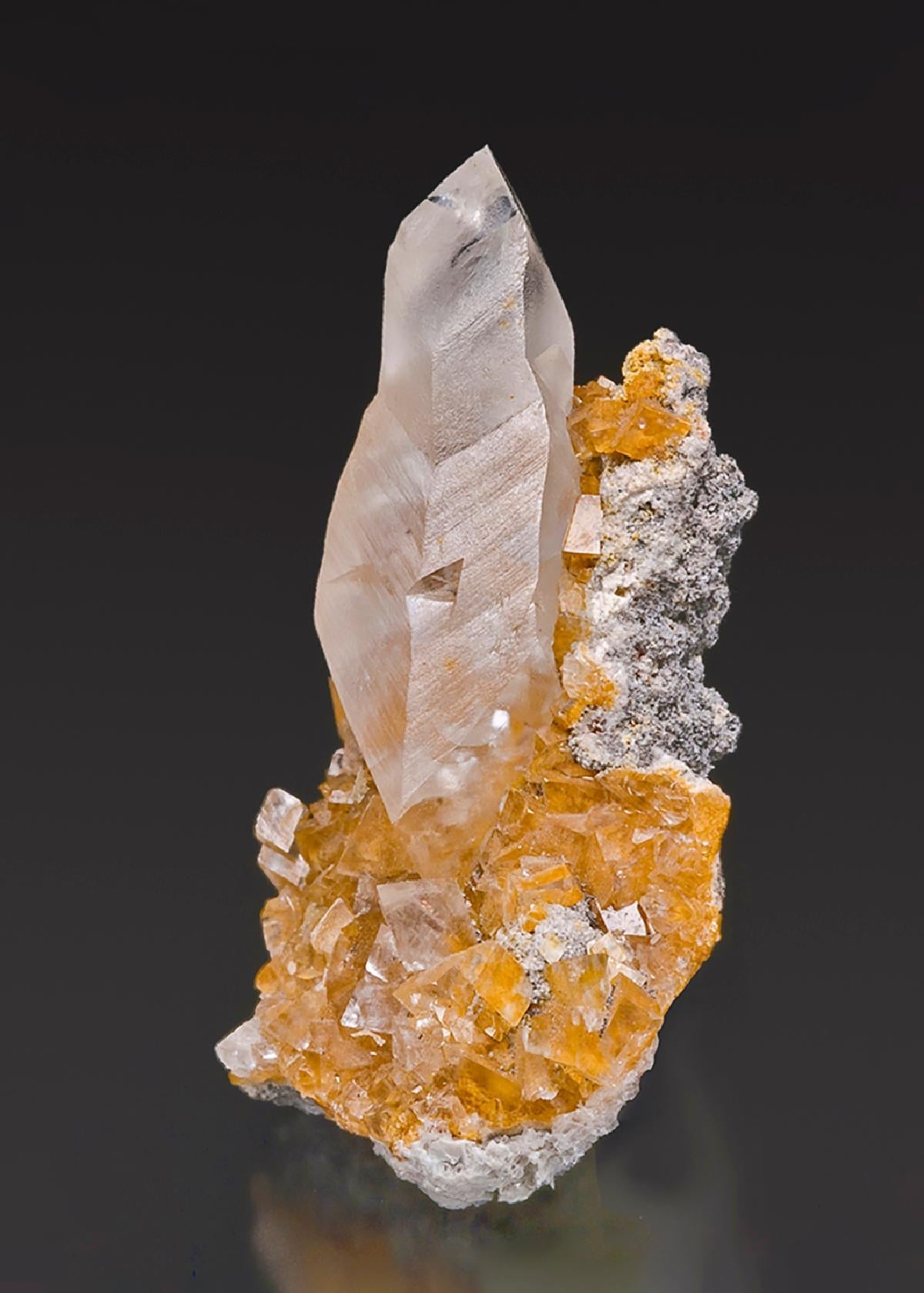 CC15620 specimen image