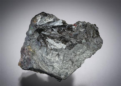 CC15654 specimen image