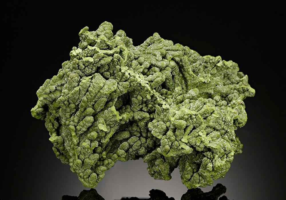 CC15671 specimen image